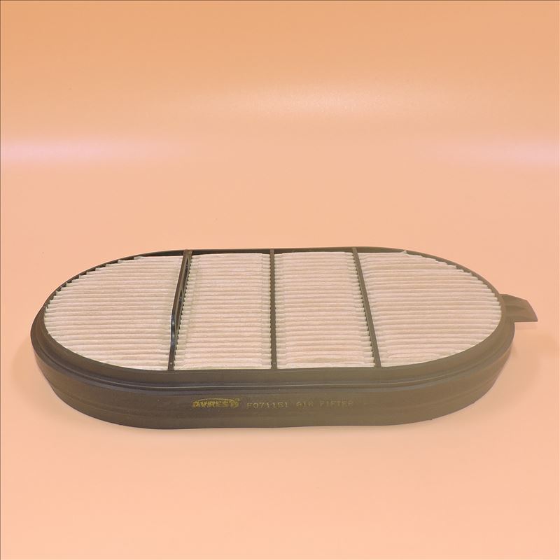 Filtre à air F071151