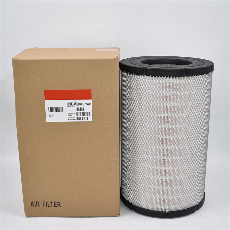 P619046 Filtre à air RS30130