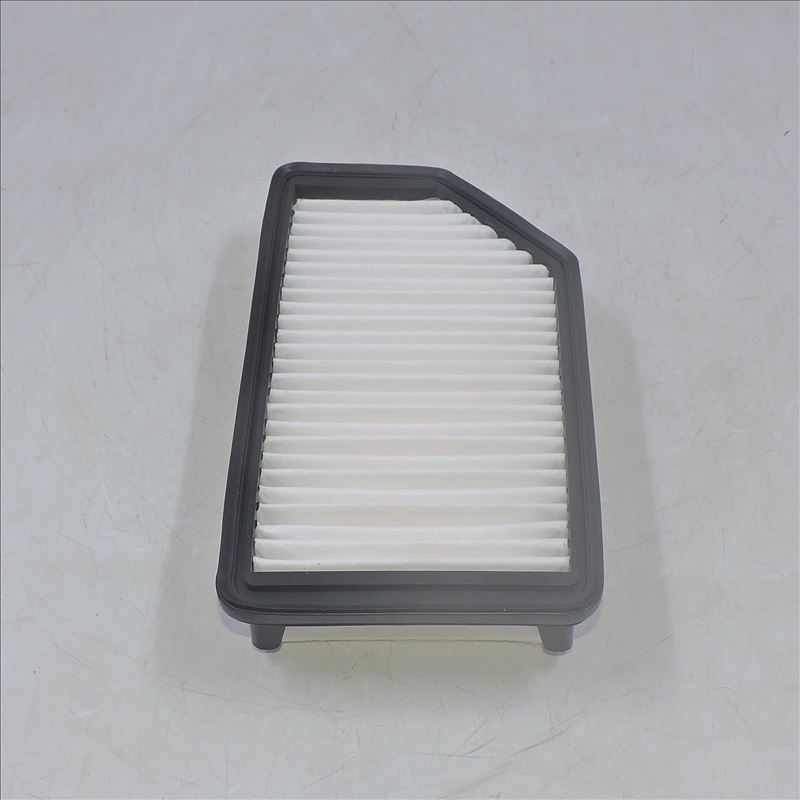 Filtre à air 28113-1R100