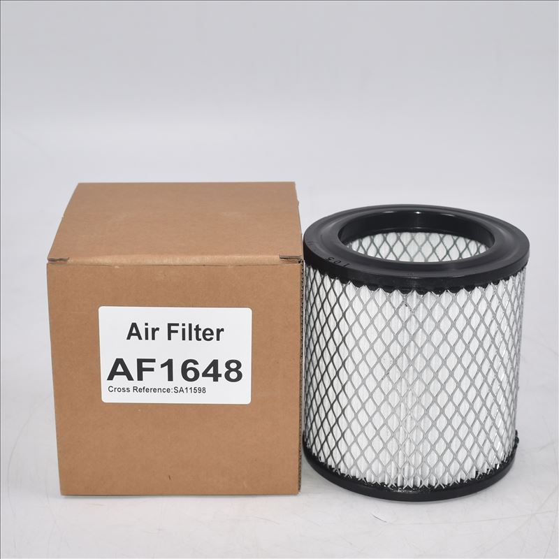 Filtre à air AF1648 A0000942804 AM31000