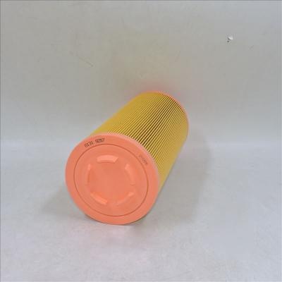 filtre à air 01319257 1319257 P778989 SA 17100 46836
