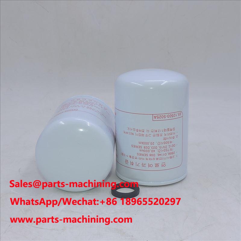 filtre à carburant 65.12503-5025A 65125035025A FF105 SN 105 P550105
