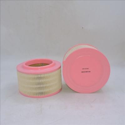 Filtre à air AB39-9601AB P506075 WA9763 E1205L
