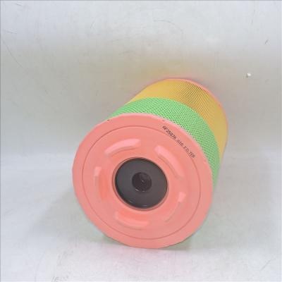 Filtre à air pour camions DAF AF25976 P785353 RS5360 1363025
