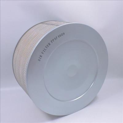 Filtre à air AF4609 PA2653 8N6309 P181126