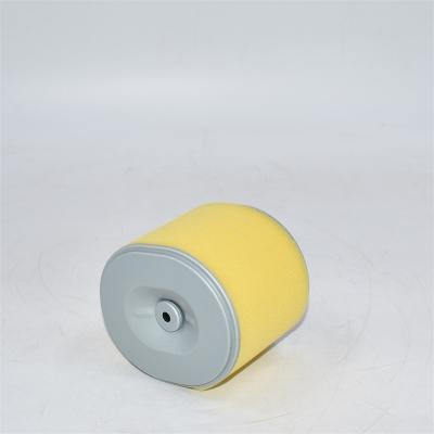 Filtre à air AF25474 P607254 PA3957 17210ZE3000 5748378 référence croisée