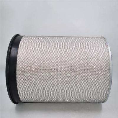 Véritable filtre à air AF899 EE-100300 1W3637 581-021-2120 P181040 en Stock