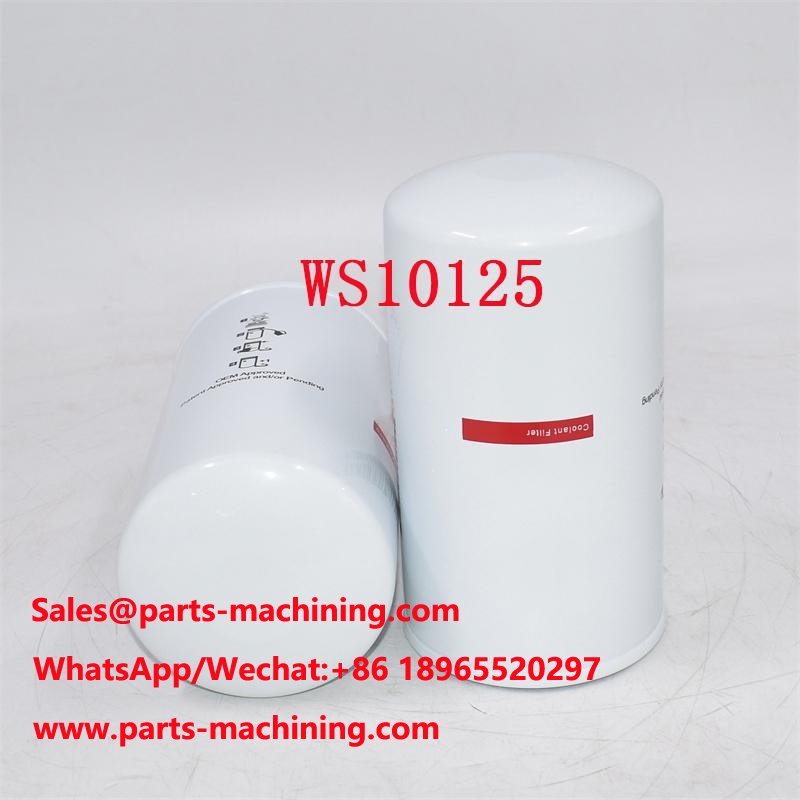 Remplacement du filtre à liquide de refroidissement WS10125 WE2091