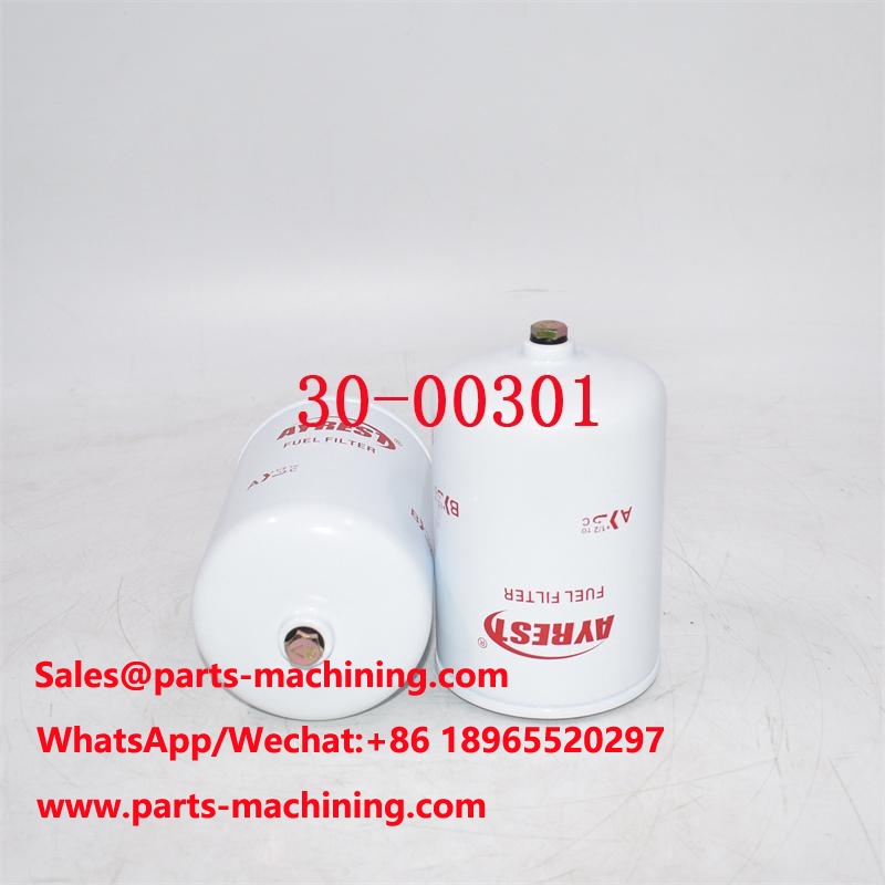 30-00301 Filtre à carburant SN200 BF896 Fabricant