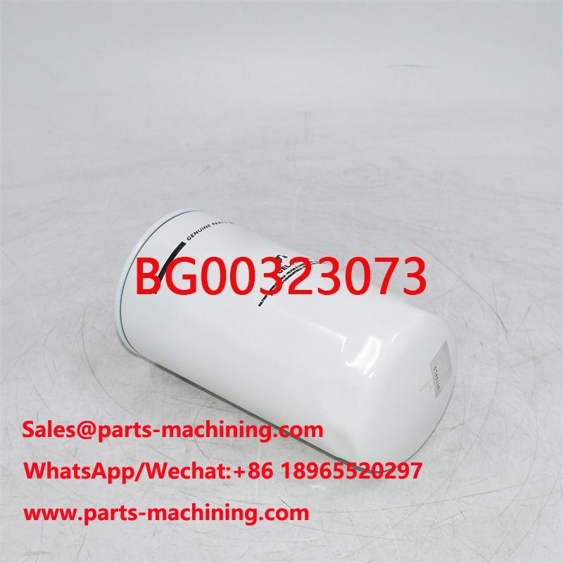 Remplacement du filtre à carburant BG00323073