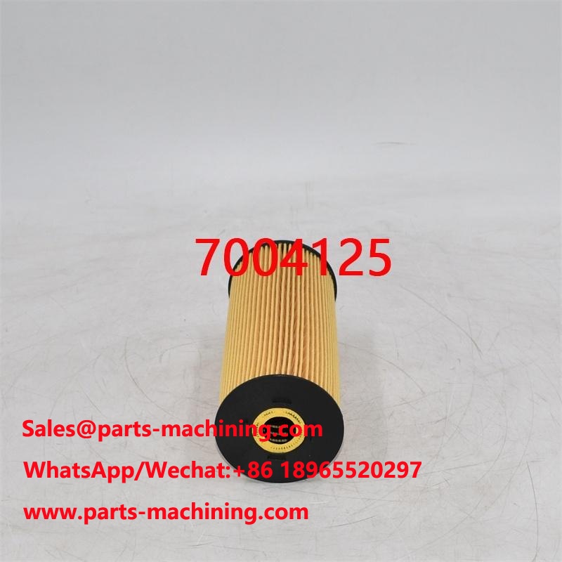 Filtre à huile 7004125 560282808 pour grue mobile
