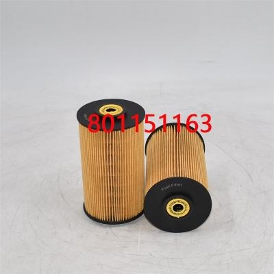 Filtre à carburant 801151163 3I-1212 pour bus