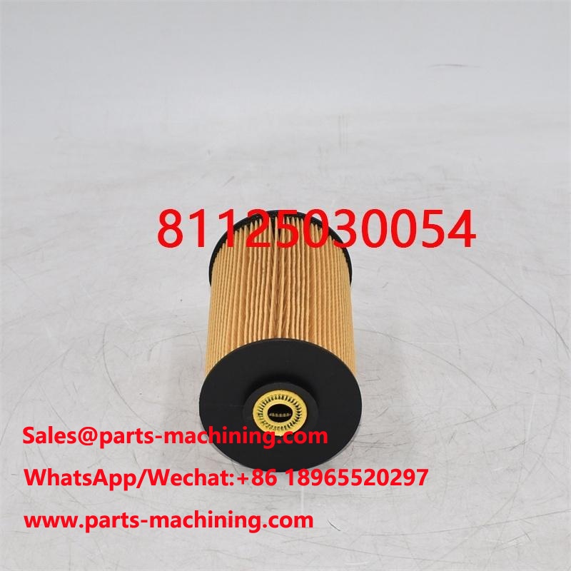 Filtre à carburant 81125030054 81125030018