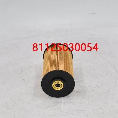 Filtre à carburant 81125030054 81125030018