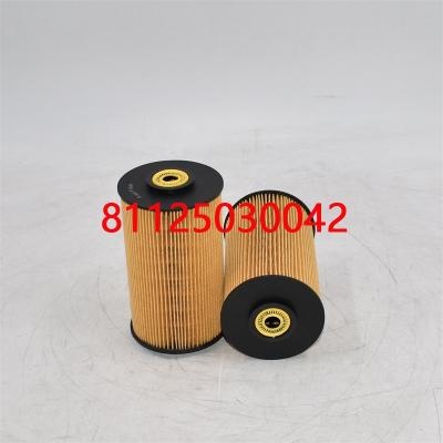 Filtre à carburant pour pièces de camion 81125030042 81125030022