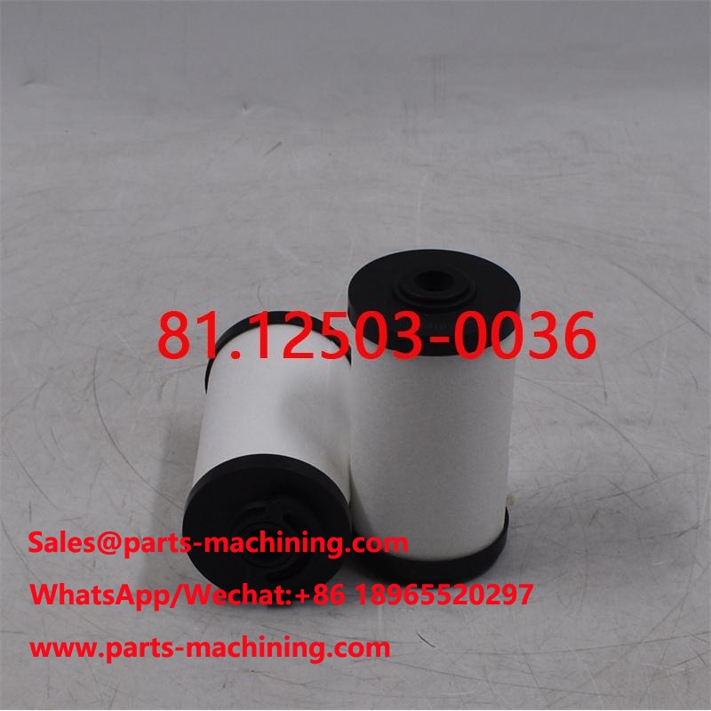 Filtre à carburant pour camion 81.12503-0036 81.12503-0040