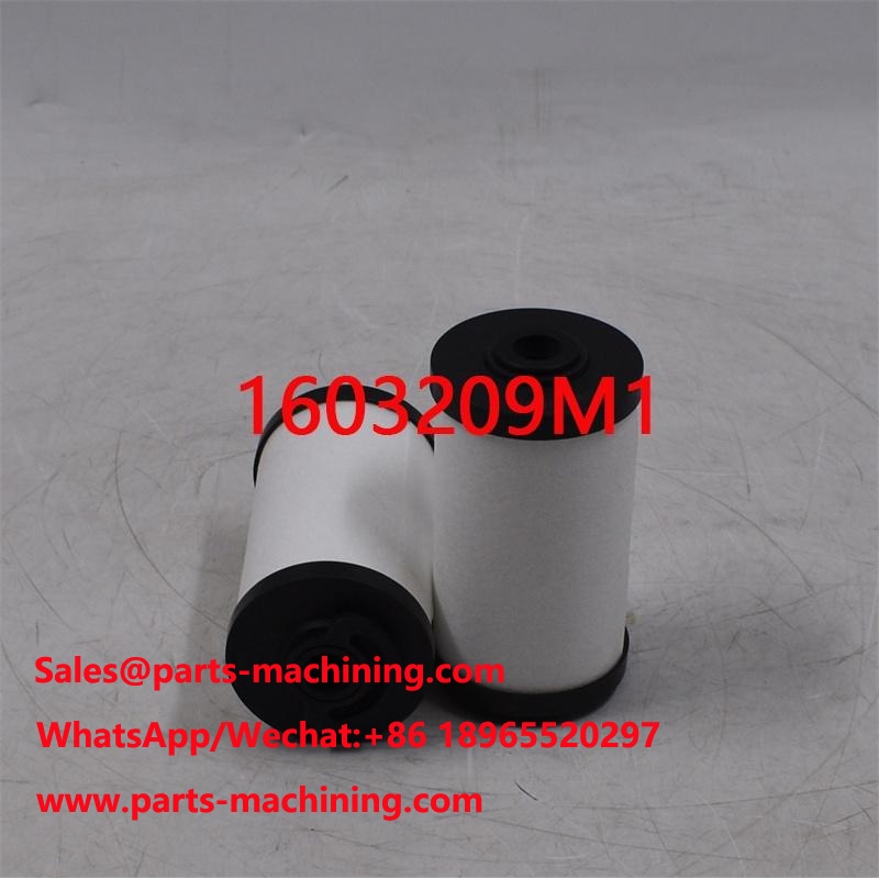 Filtre à carburant 1603209M1 76059000 pour tracteur
