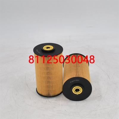 Filtre à carburant de haute qualité 81125030048 81125030021