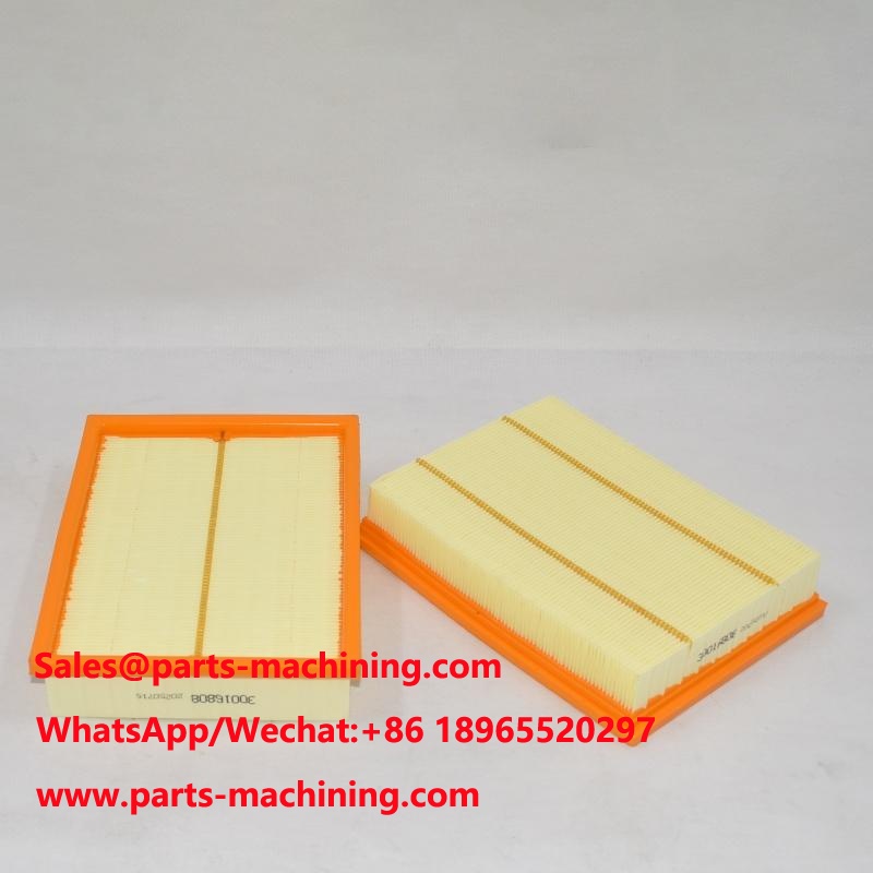 30016808 Air Filter