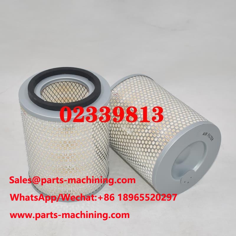 Filtre à air OEM ODM 02339813 04384102