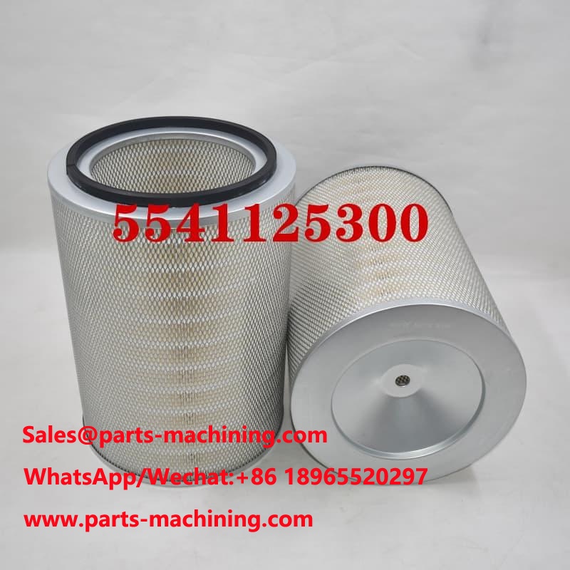 Filtre à air 5541125300 OEM ODM
