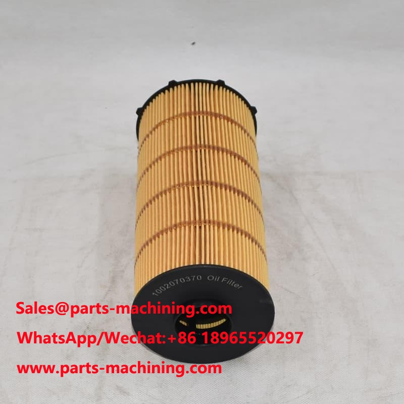 Filtre à huile 1002070370 pour moteur diesel